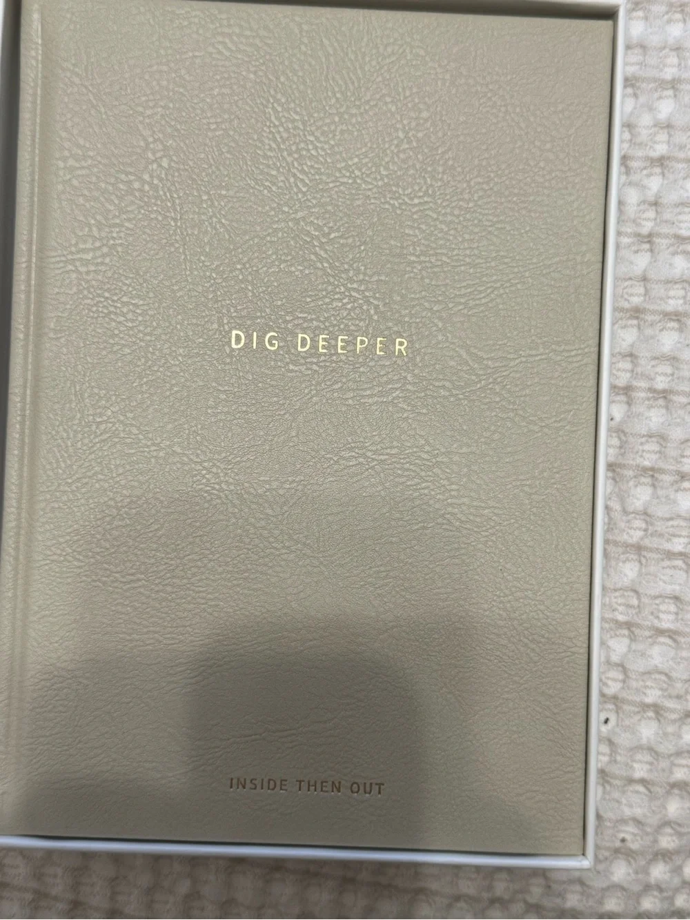 Inside Then Out- Dig Deeper Guided Journal - Taupe Cover